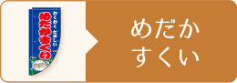 めだかすくい